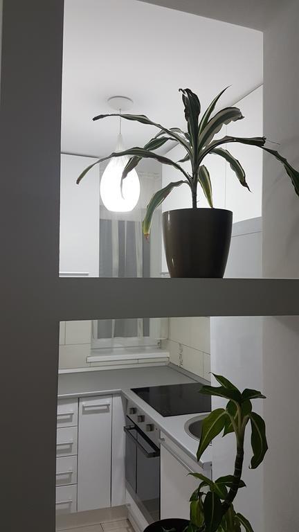 Cluj Lux Apartment Taberei Eksteriør billede